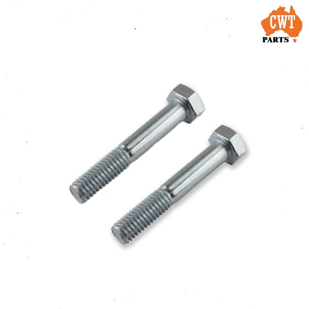 Brake Caliper Mounting Plate Bolts Pair